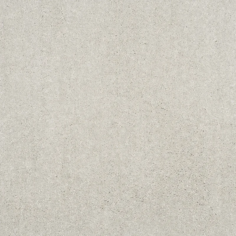 Eclipse ground mist