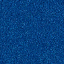 Ultima Twist Gentian