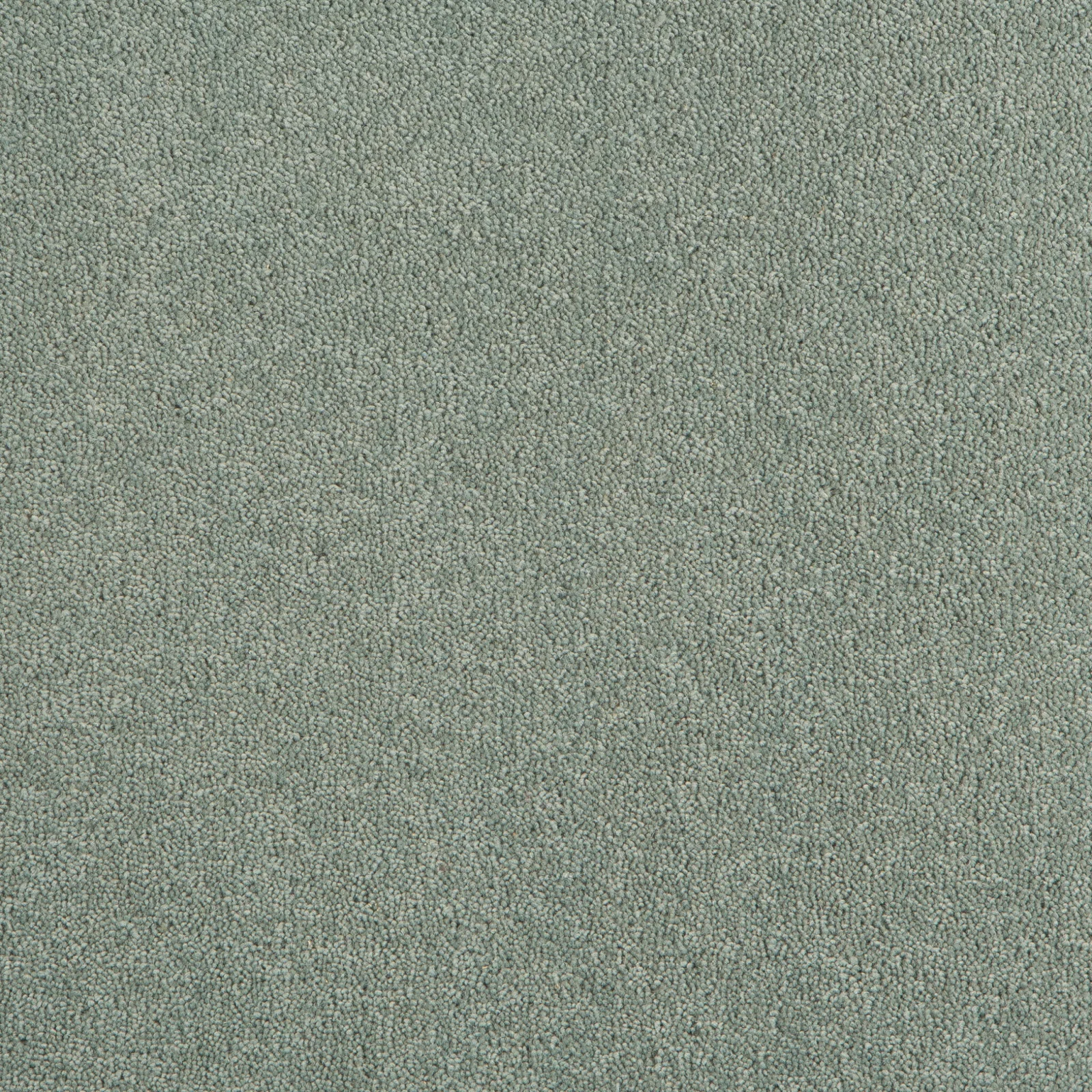 Durham Twist Carpet by Hugh Mackay | Quality Carpets