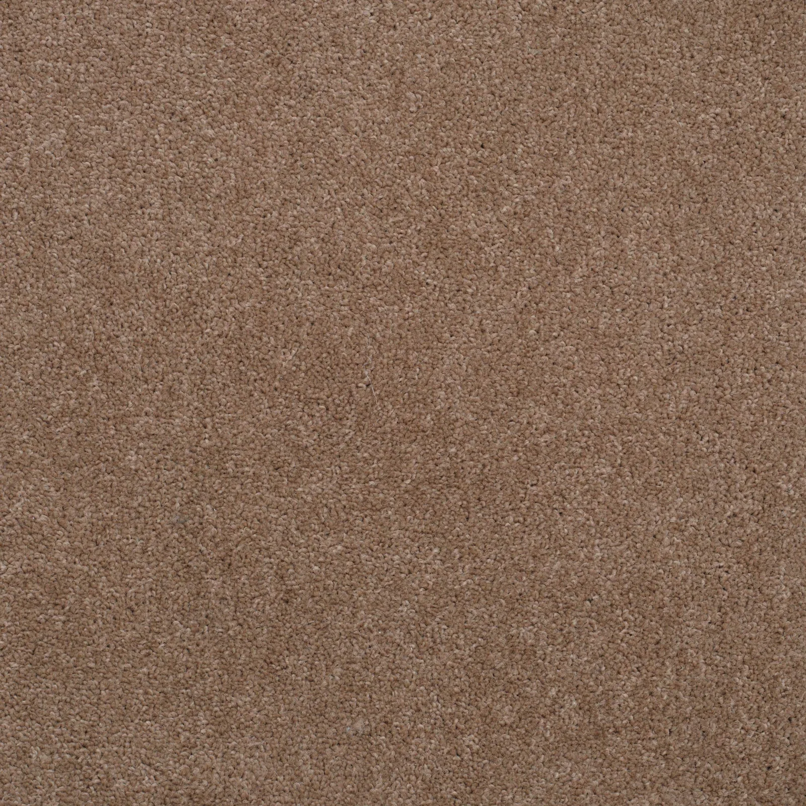 Super Twist Carpet by Balta - Quality Flooring in Wednesfield