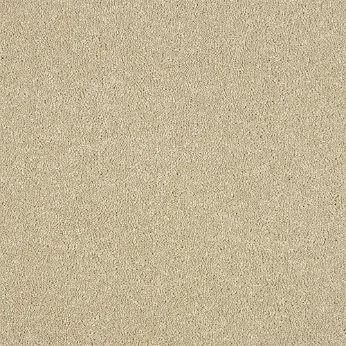 Maximus Carpet by Abingdon Flooring | Quality Carpets