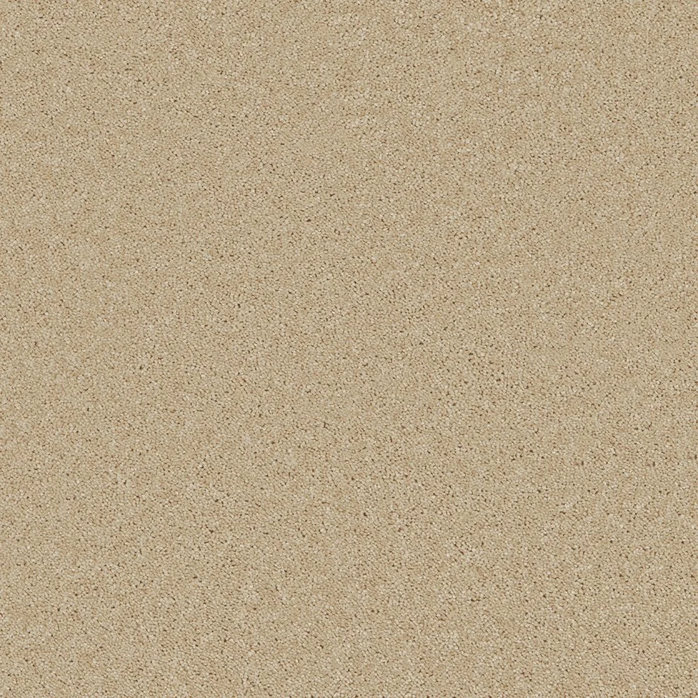 Bliss & Bliss Comfort Carpets by Furlong Flooring