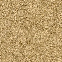 Moss Demerara