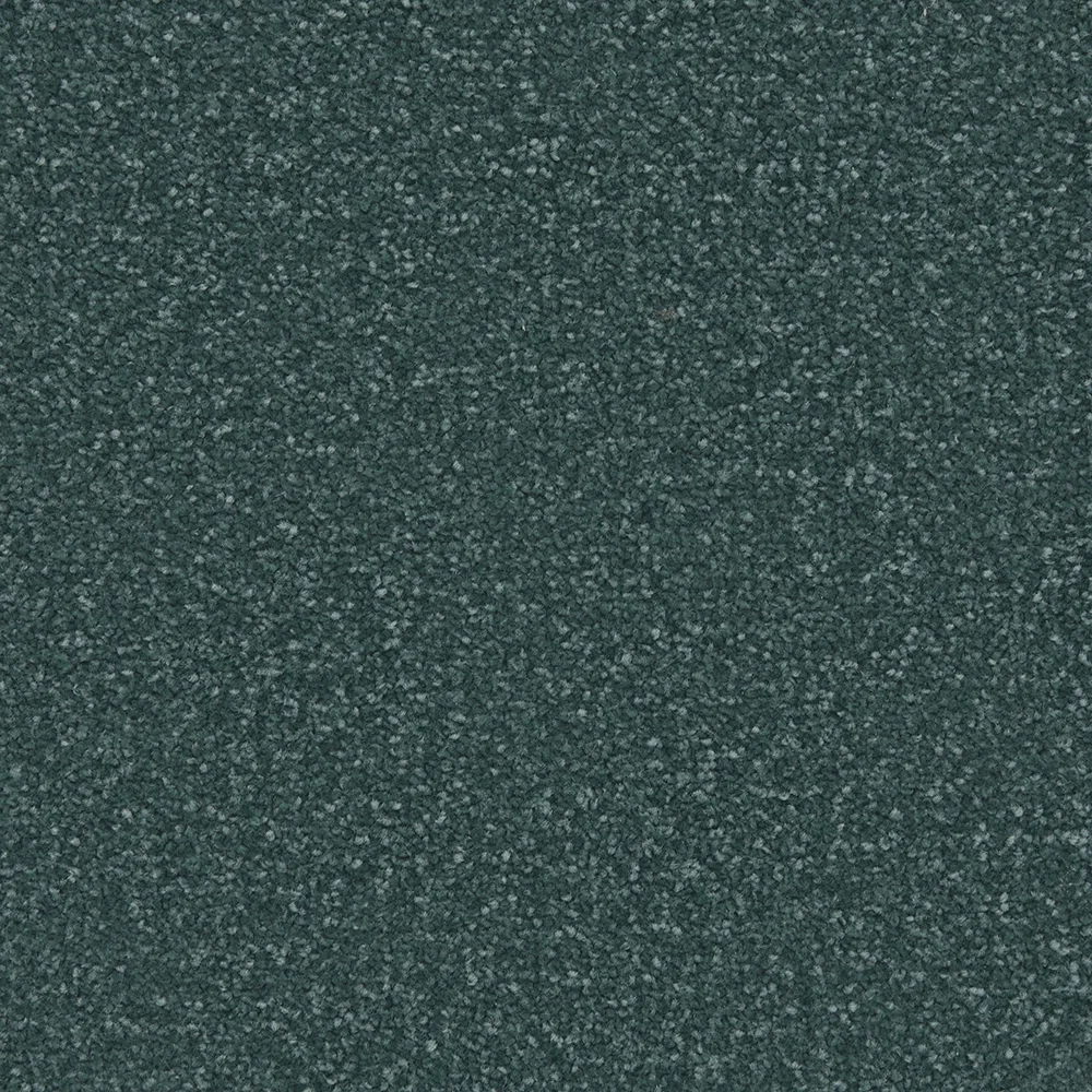 Apollo Plus Carpet by Cormar Carpets | Quality Flooring