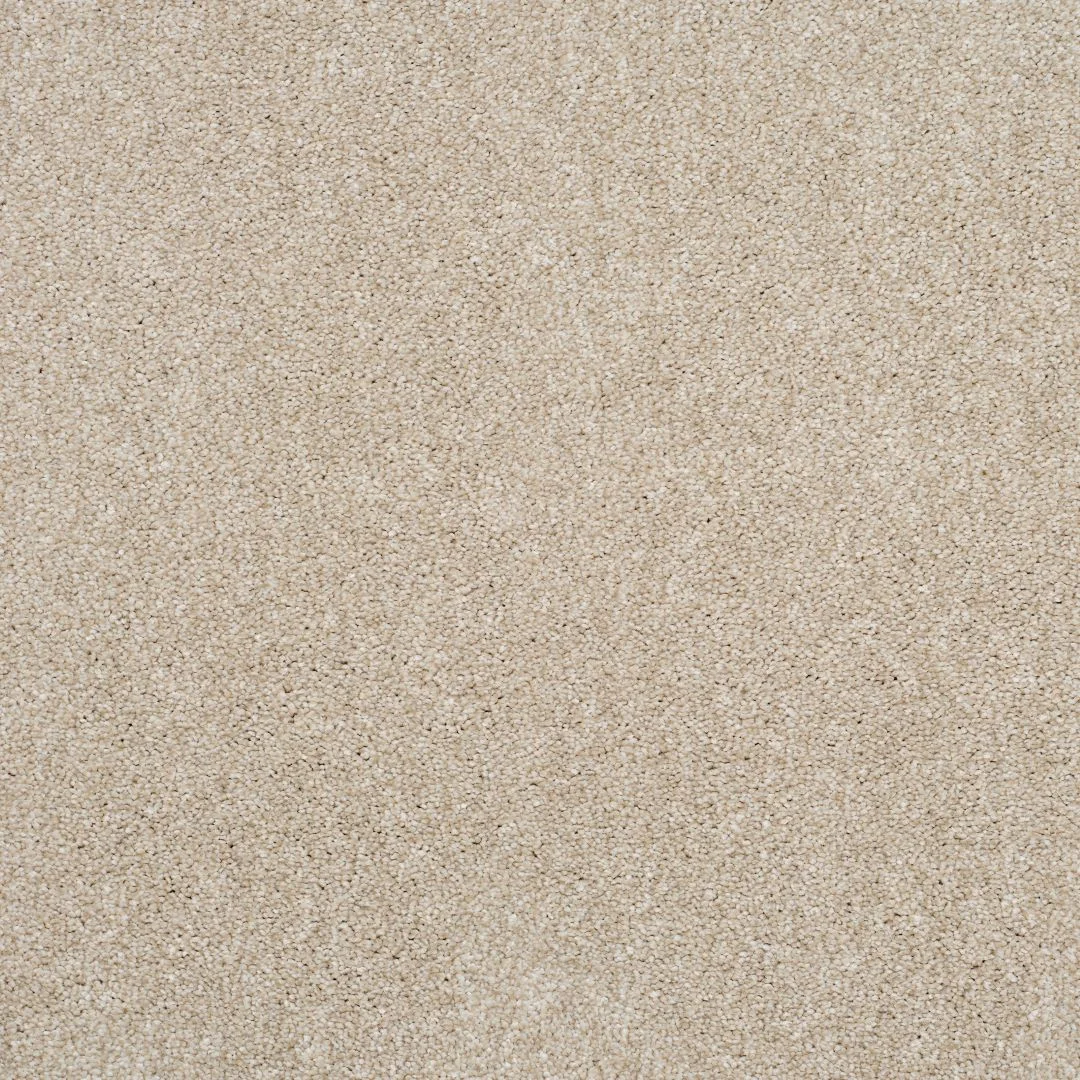 Eclipse Carpet by Balta - Quality Flooring in Wednesfield