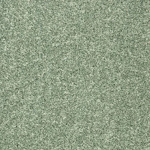 Heritage Luxury & Stripes evergreen