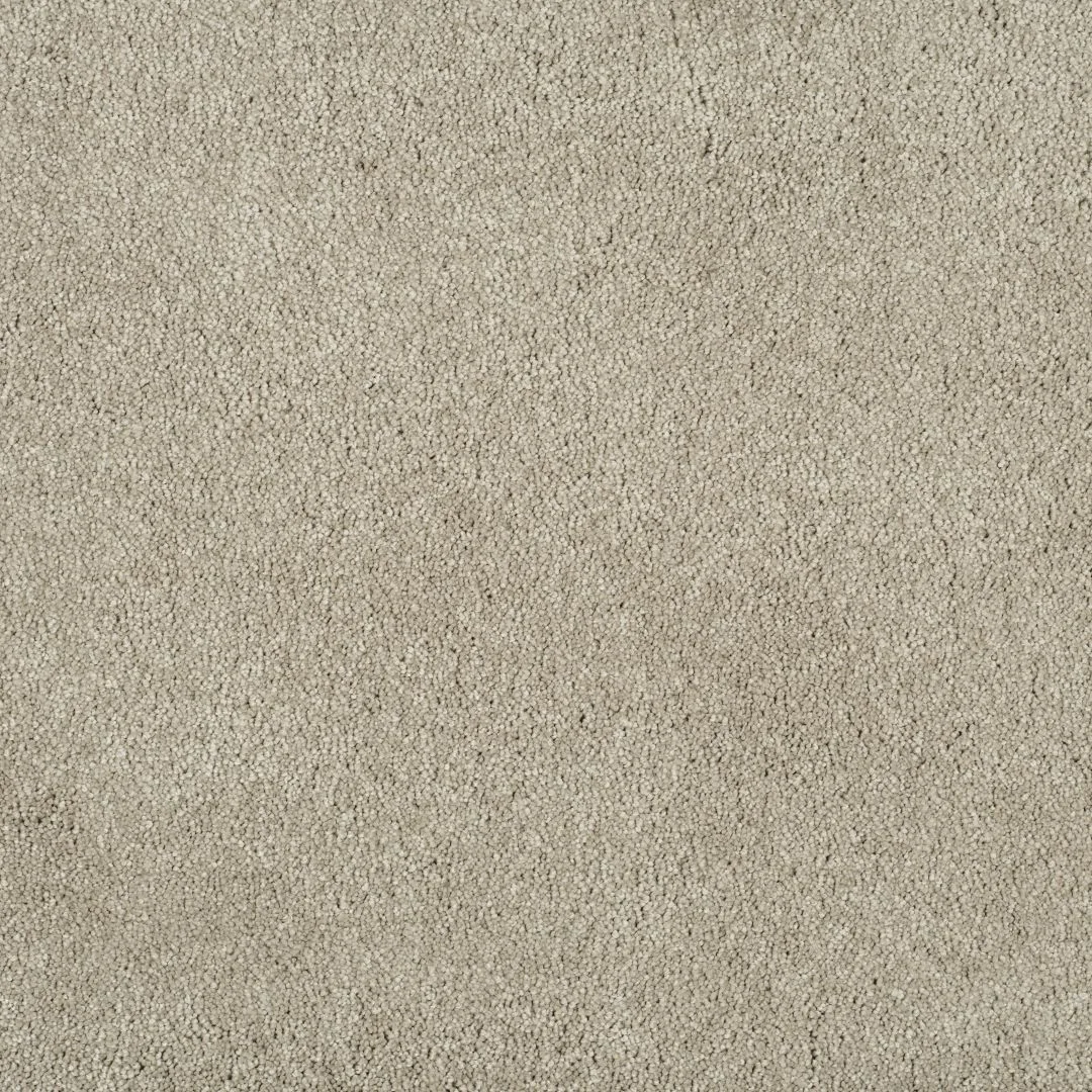 Magical Feeling Carpet by Balta – Quality Flooring
