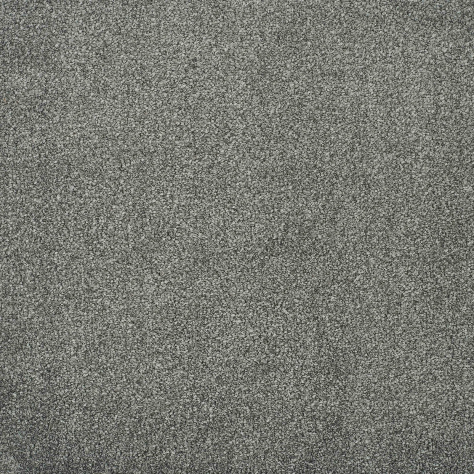 Delight Carpet by Balta - Finishing Touch Collection