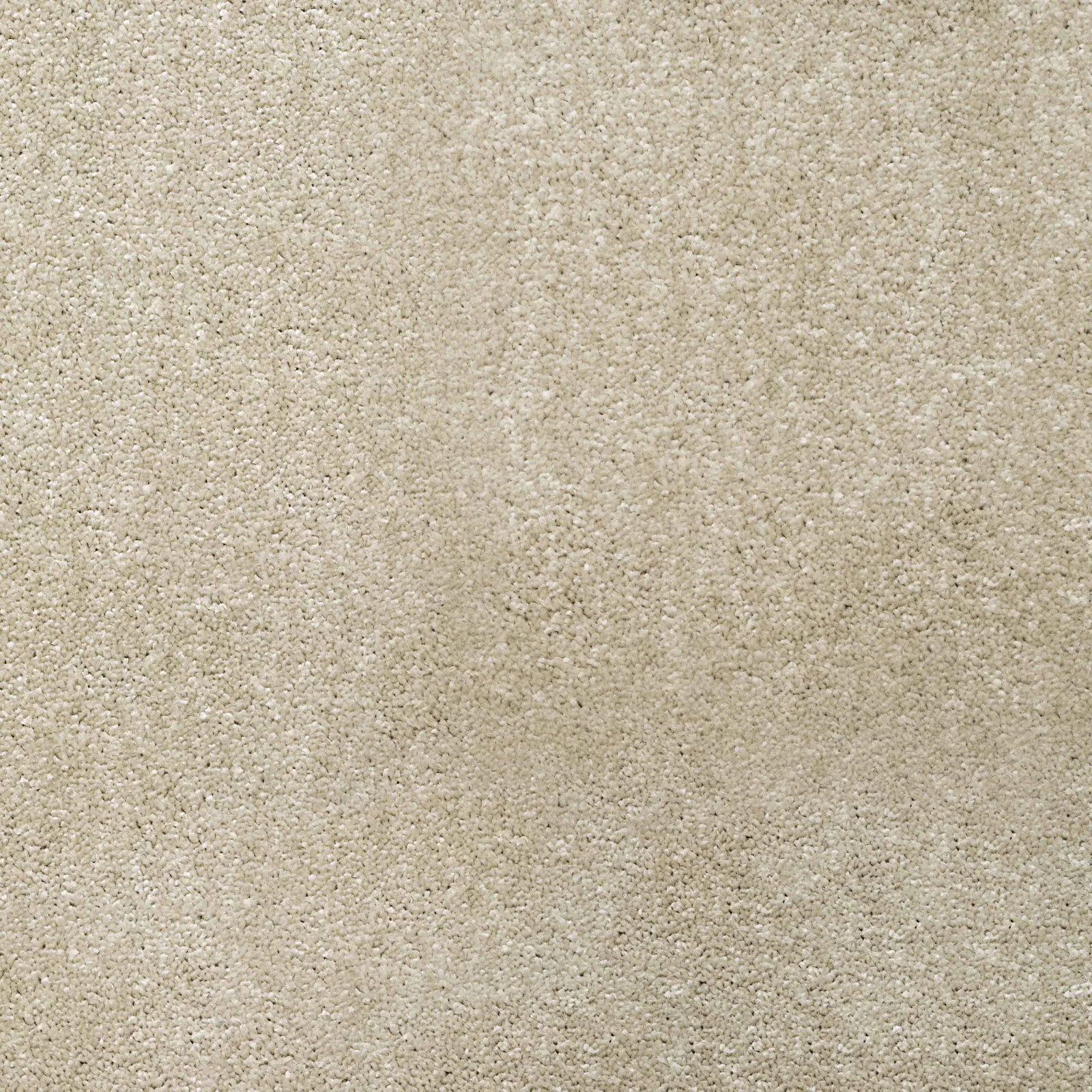 Ultra Saxony Carpet by Balta - Quality Flooring in Wednesfield