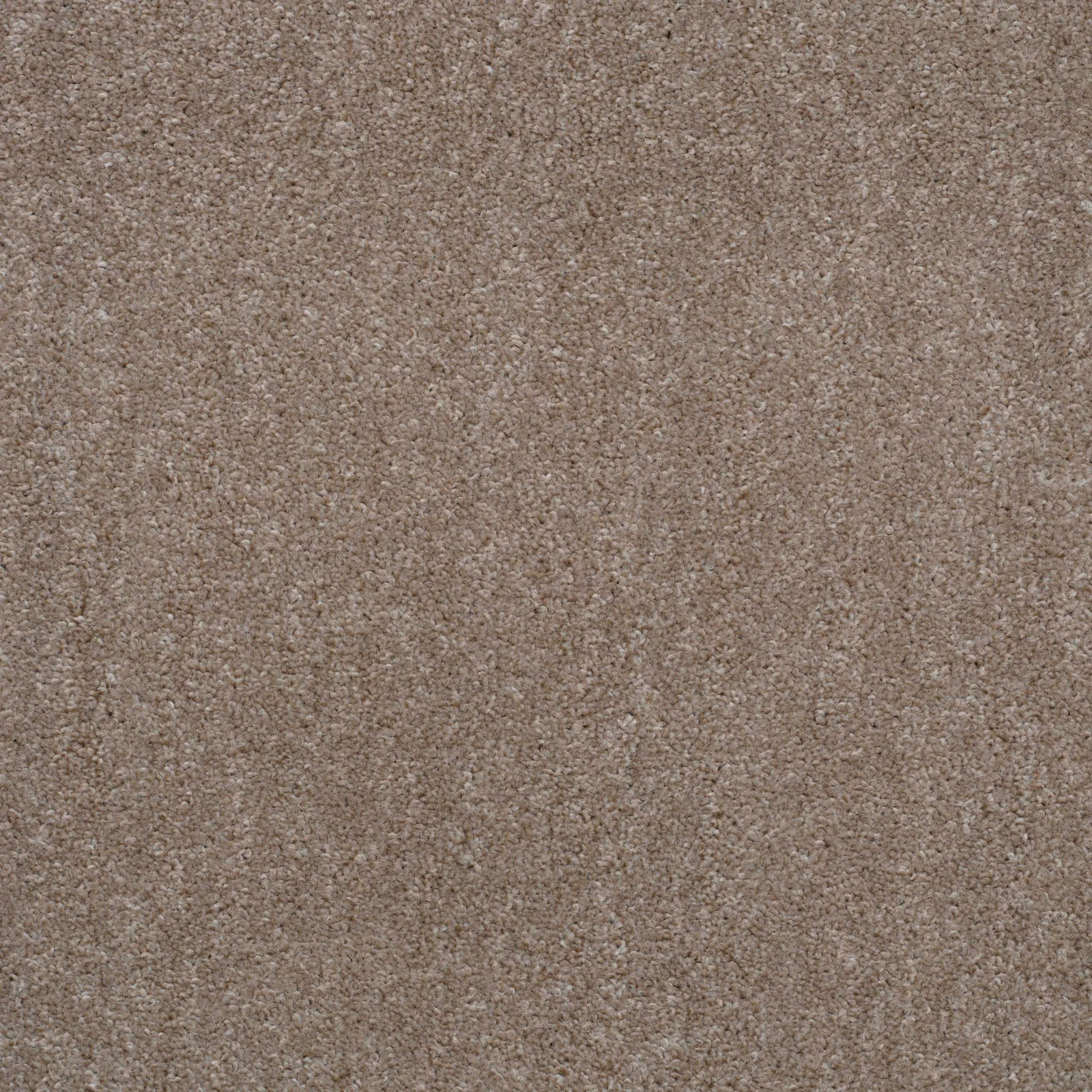 Super Twist Carpet by Balta - Quality Flooring in Wednesfield