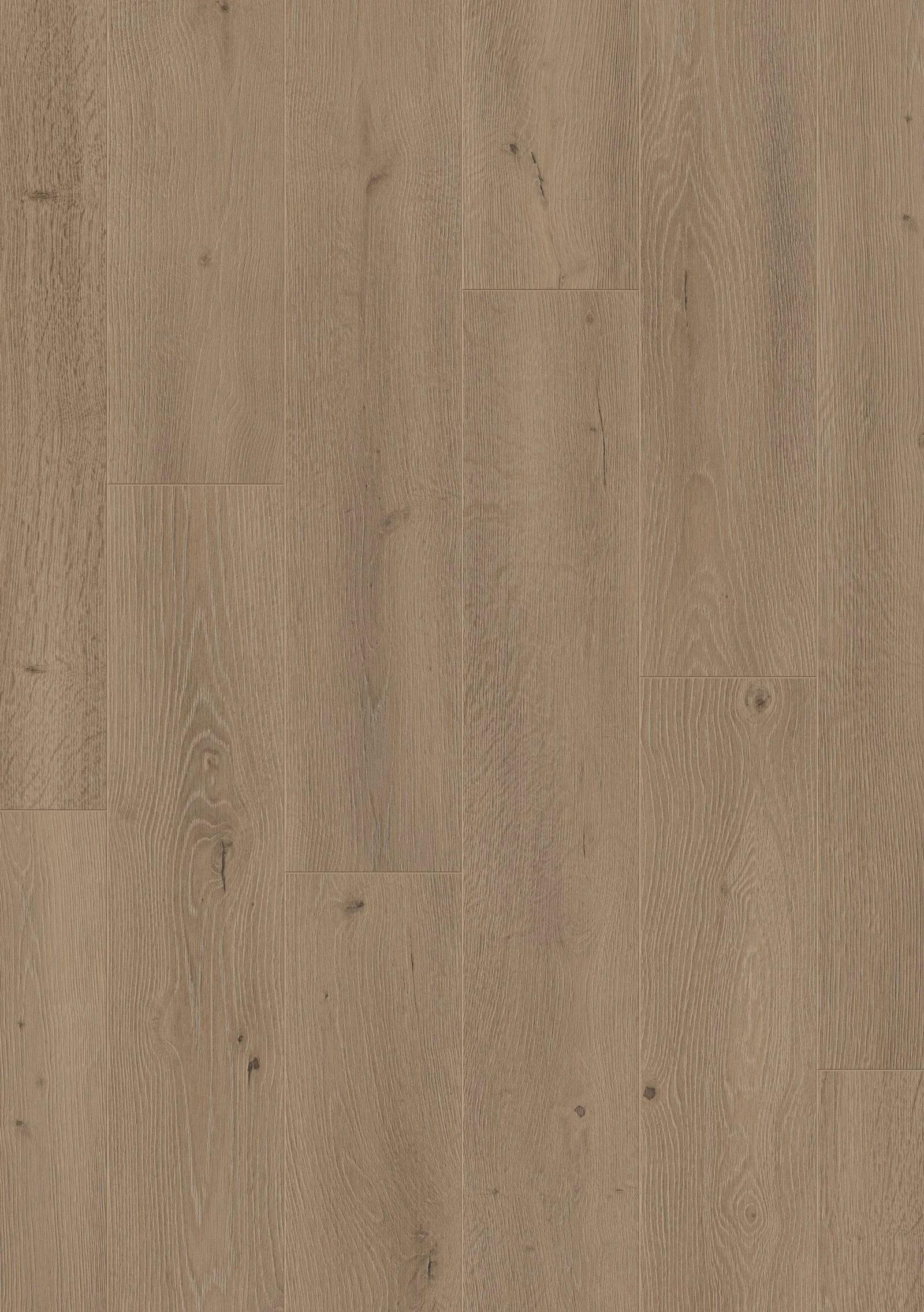 Neptune Laminate Flooring by Furlong Flooring