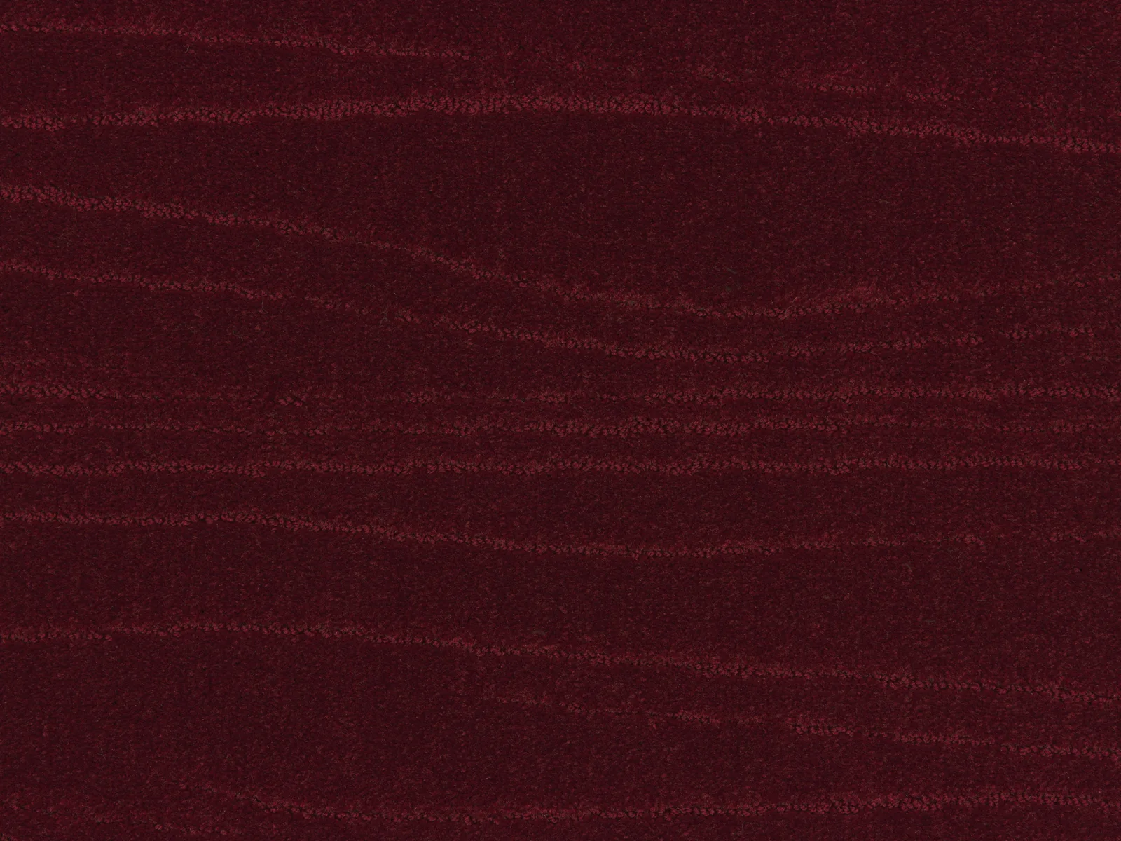 Lano Carve Linea Carpet | Durable and Stylish