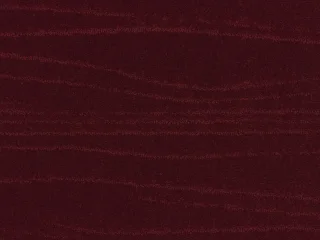 100Ruby