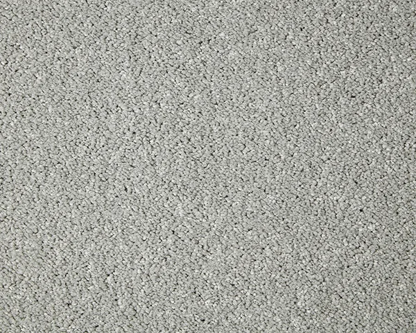 Primo Grande Carpet by Cormar Carpets | Quality Flooring