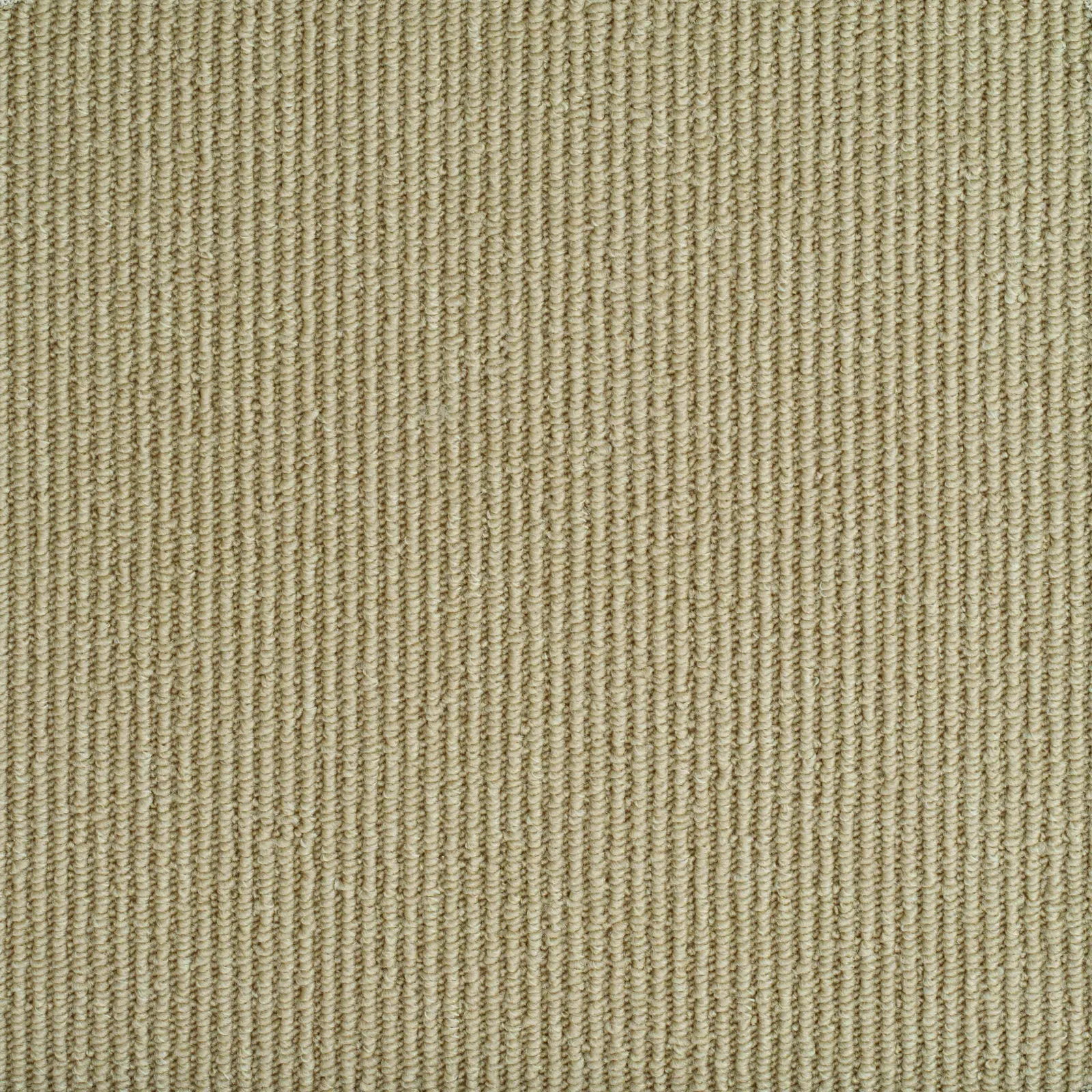 Designer Style Carpet by Balta - Quality Flooring