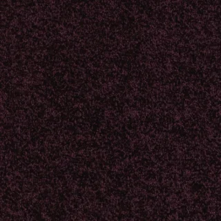 Blackcurrant Squash
