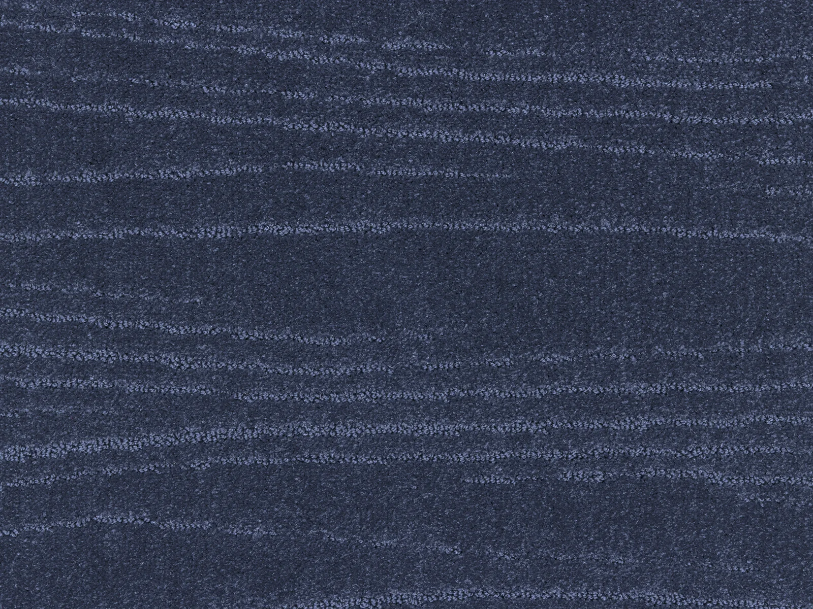 Lano Carve Linea Carpet | Durable and Stylish
