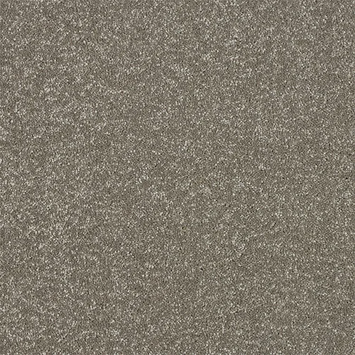 Maximus Carpet by Abingdon Flooring | Quality Carpets