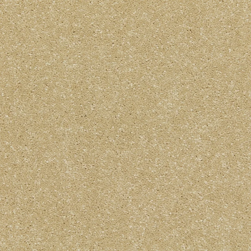 Riva Carpet by Cormar | Quality Carpets in Wednesfield