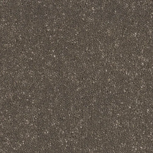 First Impressions 2026 Carpet by Victoria Carpets