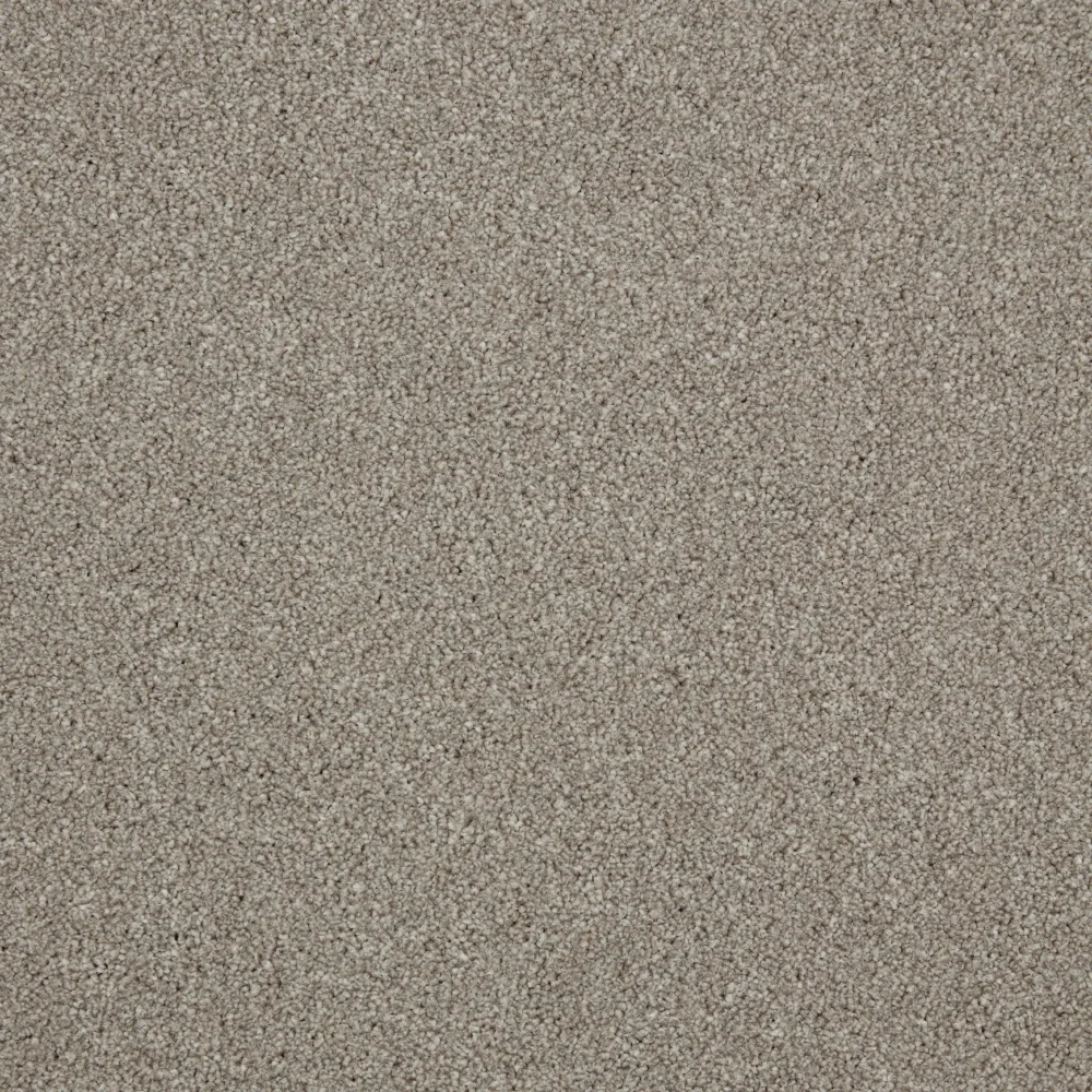 Zenith Carpet by Cormar Carpets - Quality Flooring