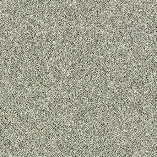Royal Charter Deluxe Silver Birch