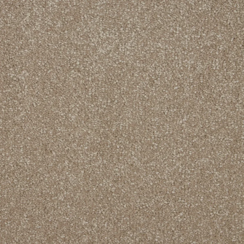 Primo Grande Sensation Cambrian Stone