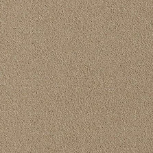 Fine Westex Twist Bransford Biscuit