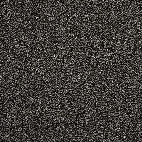 Soft Noble coal dust