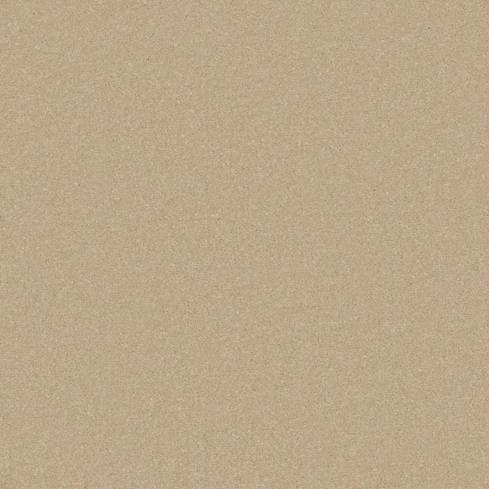 Elegance Carpet by Furlong Flooring | Quality Carpets