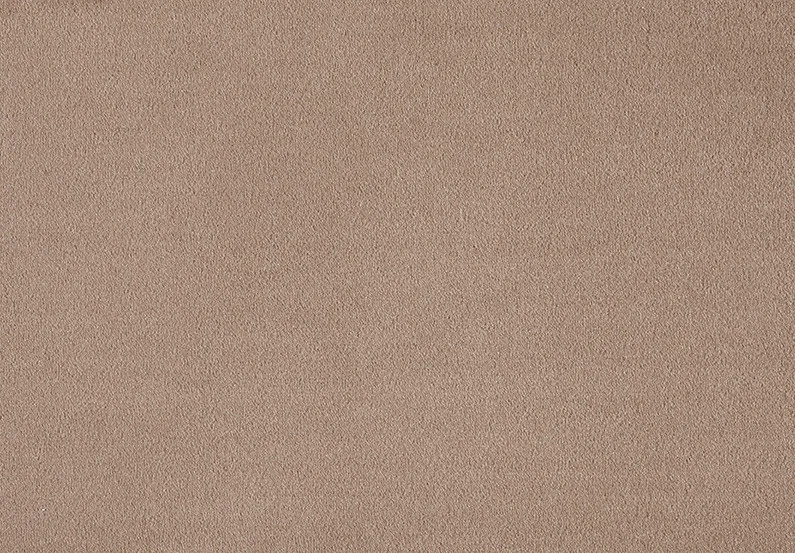 Bergamo 220Acorn