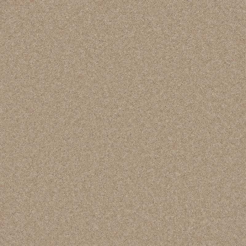 Pembroke Toasted Almond