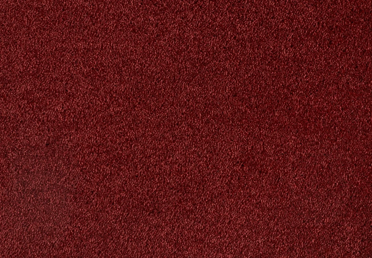 Satine Nova Carpet by Lano | Quality Carpets and Vinyl