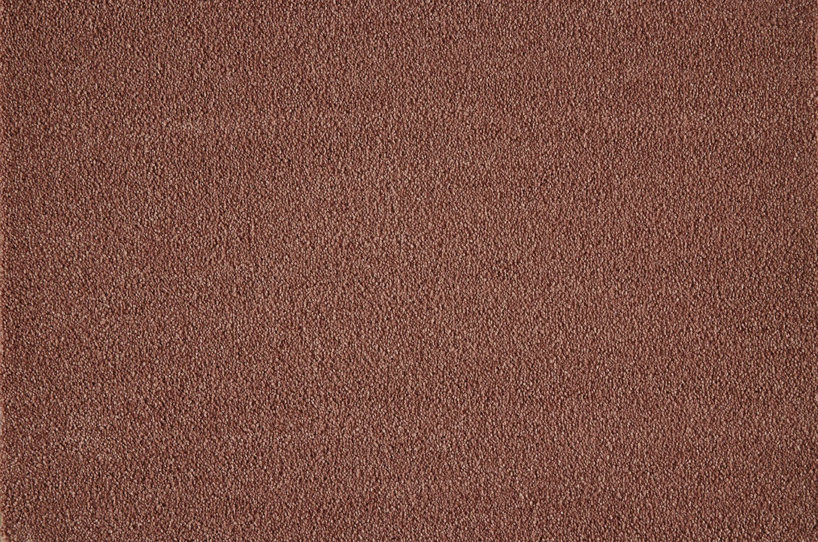 Boulevard Carpet by Lano - Quality & Style
