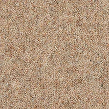 Ultima Twist Bracken