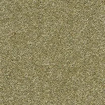 Moss Bergamot