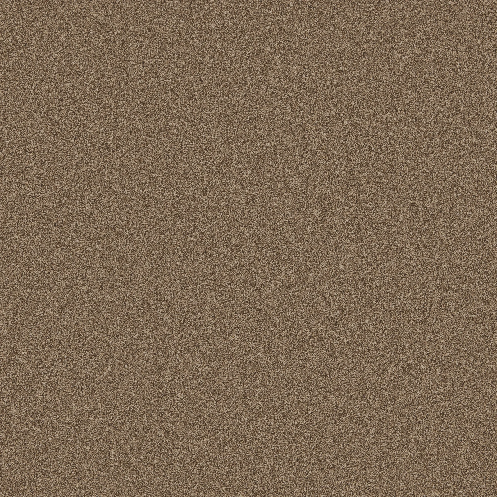 Primo Natural Carpet Range by Cormar Carpets in Wednesfield