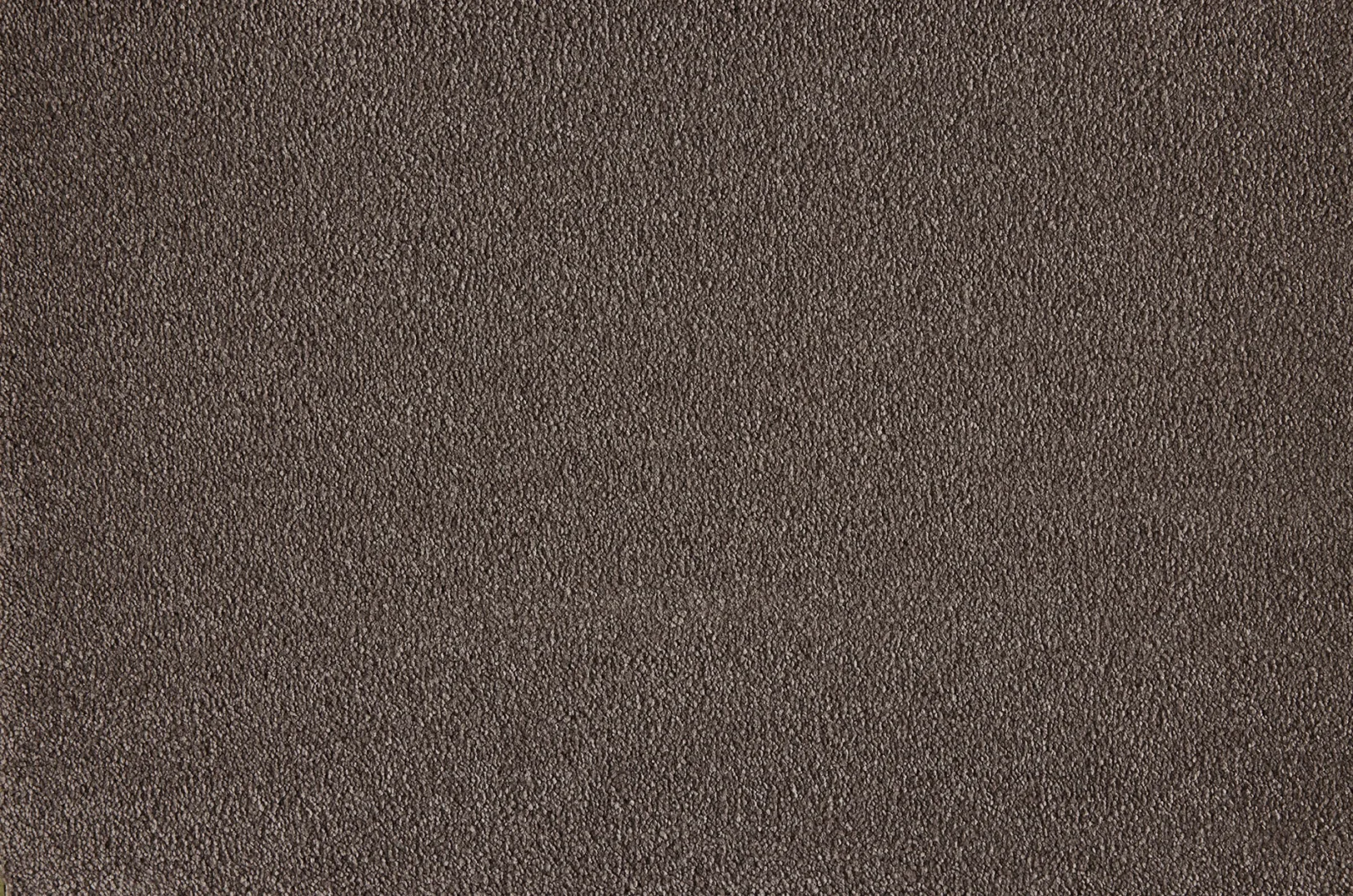 Boulevard Carpet by Lano - Quality & Style