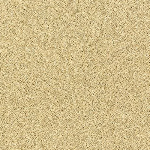 Royal Charter Deluxe String