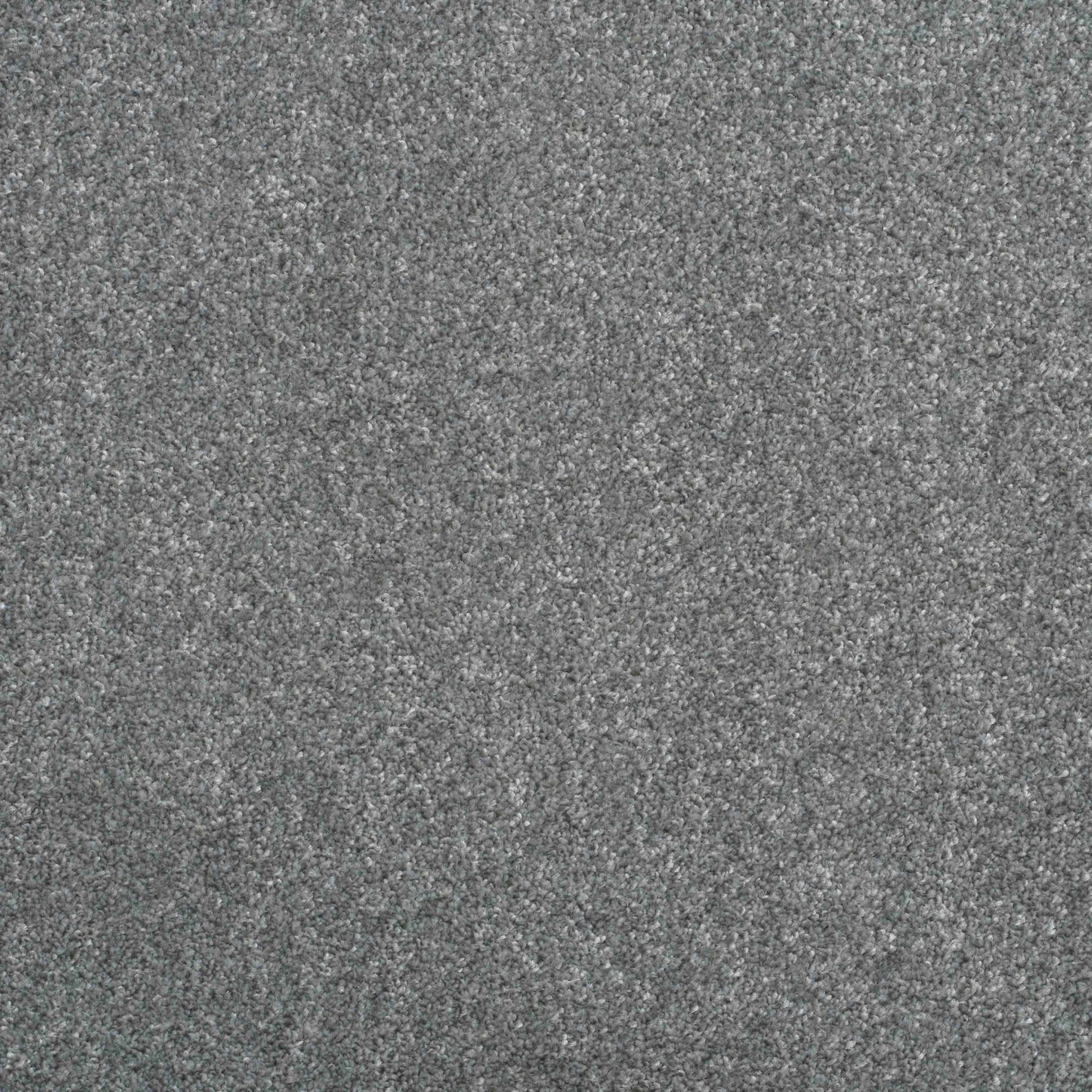 Shepherd Twist Carpet by Balta - Quality Carpets WV11