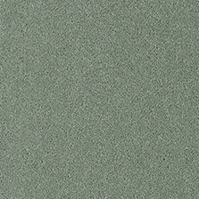 Fine Westex Twist Charlton Catkin