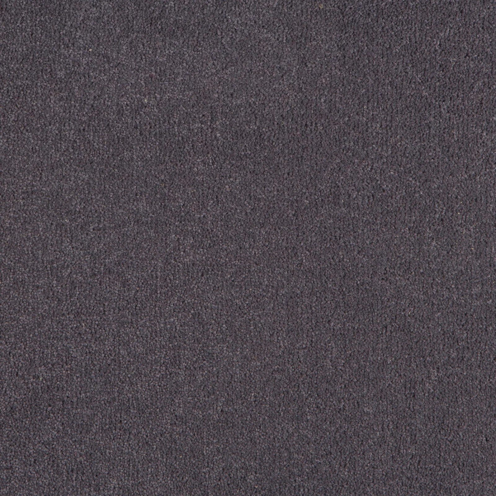 Durham Twist Carpet by Hugh Mackay | Quality Carpets