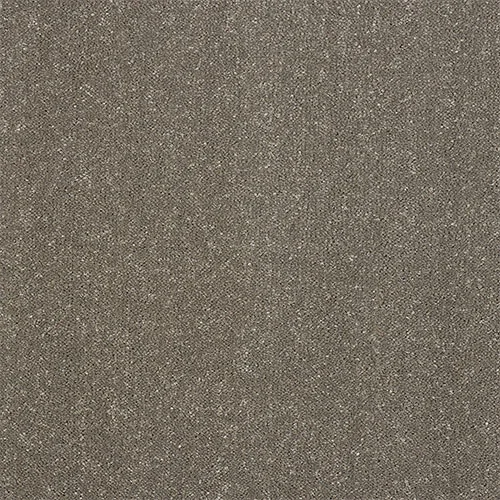 Captivation Carpet by Abingdon Flooring - Premium Choice