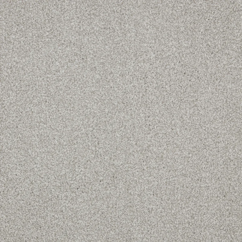Zenith Alabaster