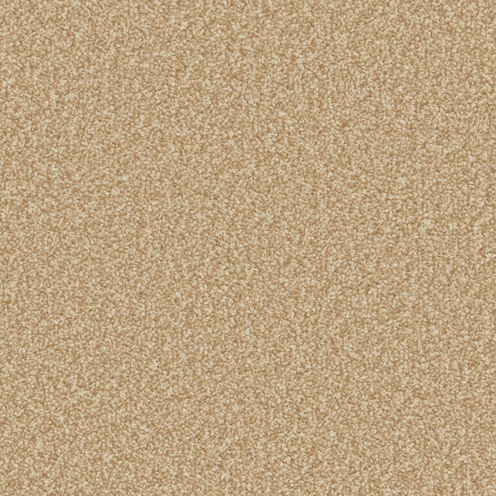 Primo Ultra Carpet by Cormar Carpets - Quality Flooring