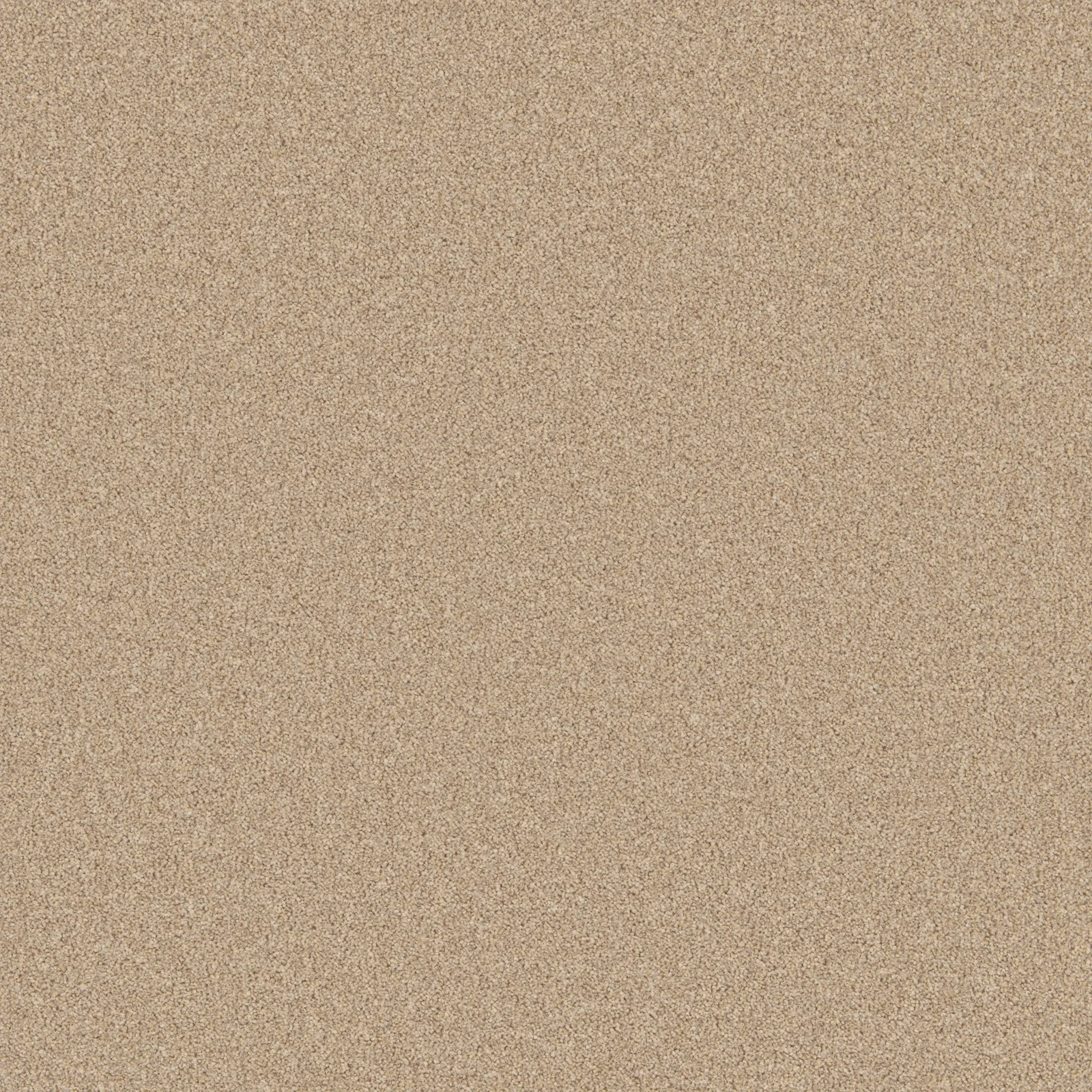 Primo Natural Carpet Range by Cormar Carpets in Wednesfield