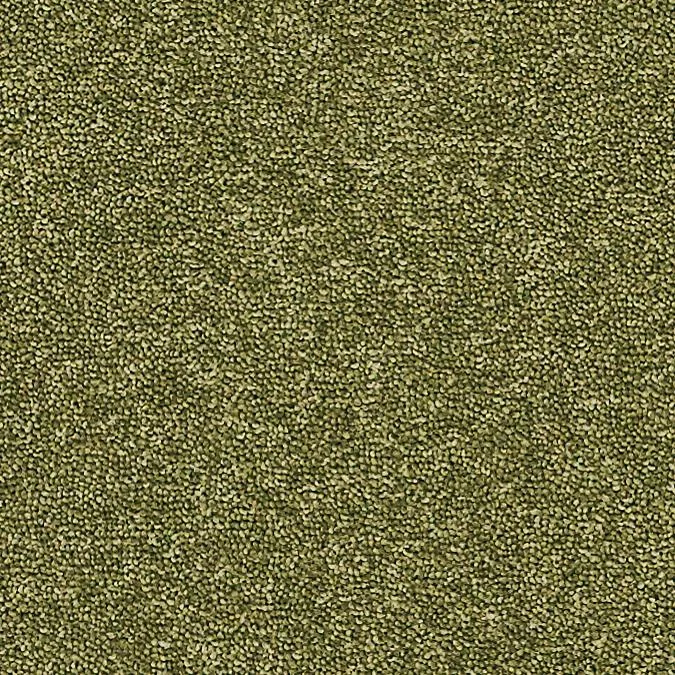 Moss
