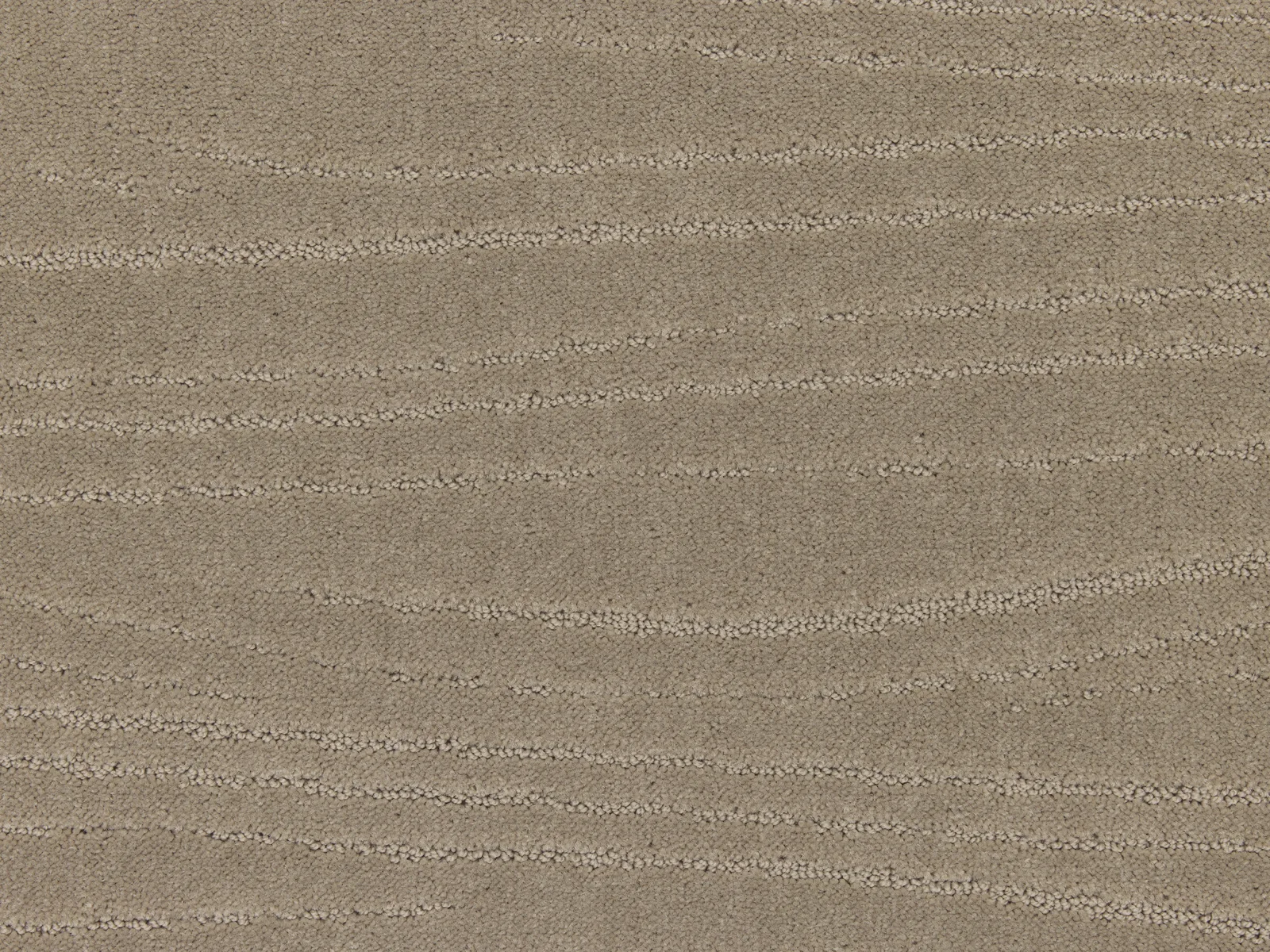 Lano Carve Linea Carpet | Durable and Stylish