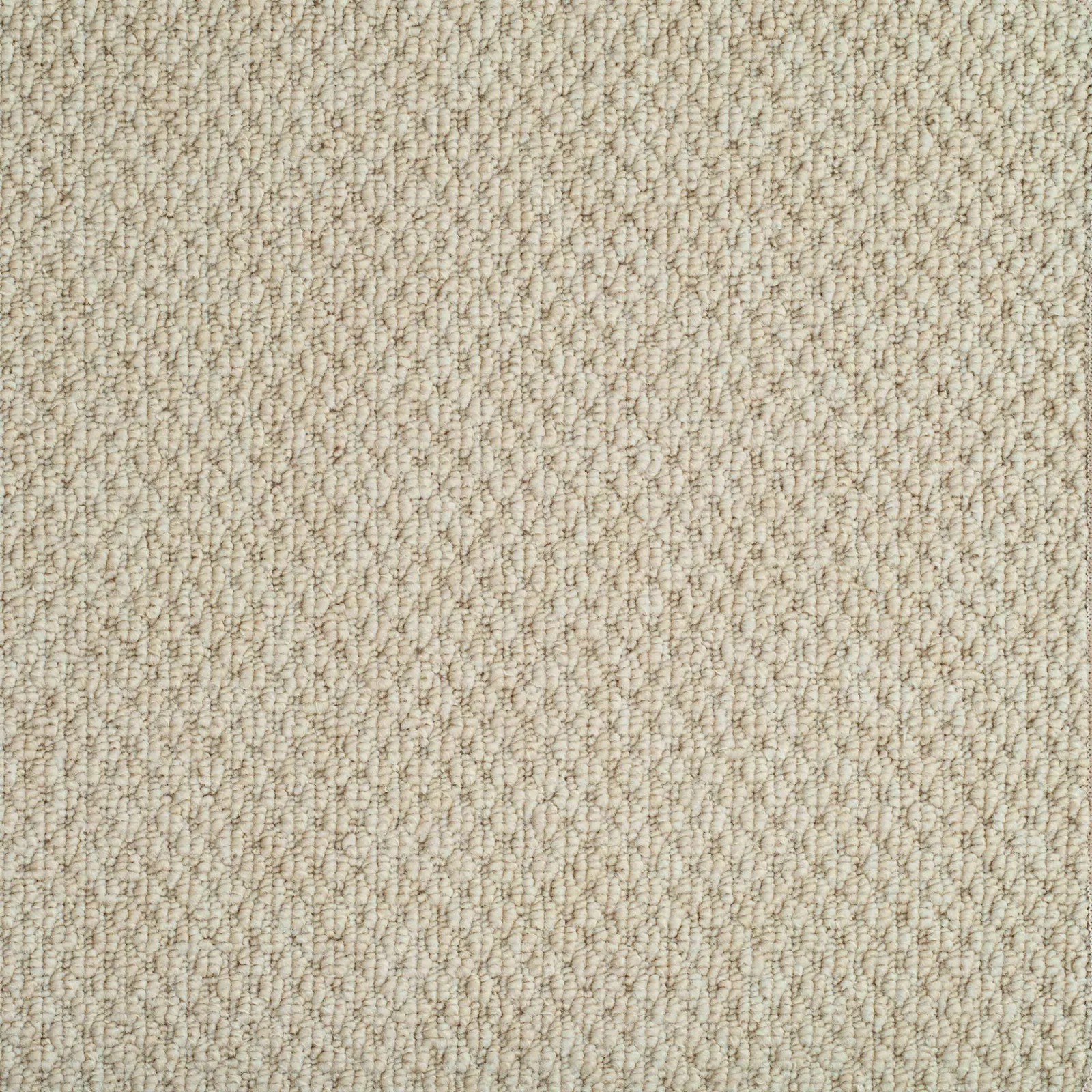 Designer Style Carpet by Balta - Quality Flooring