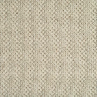 boucle champagne